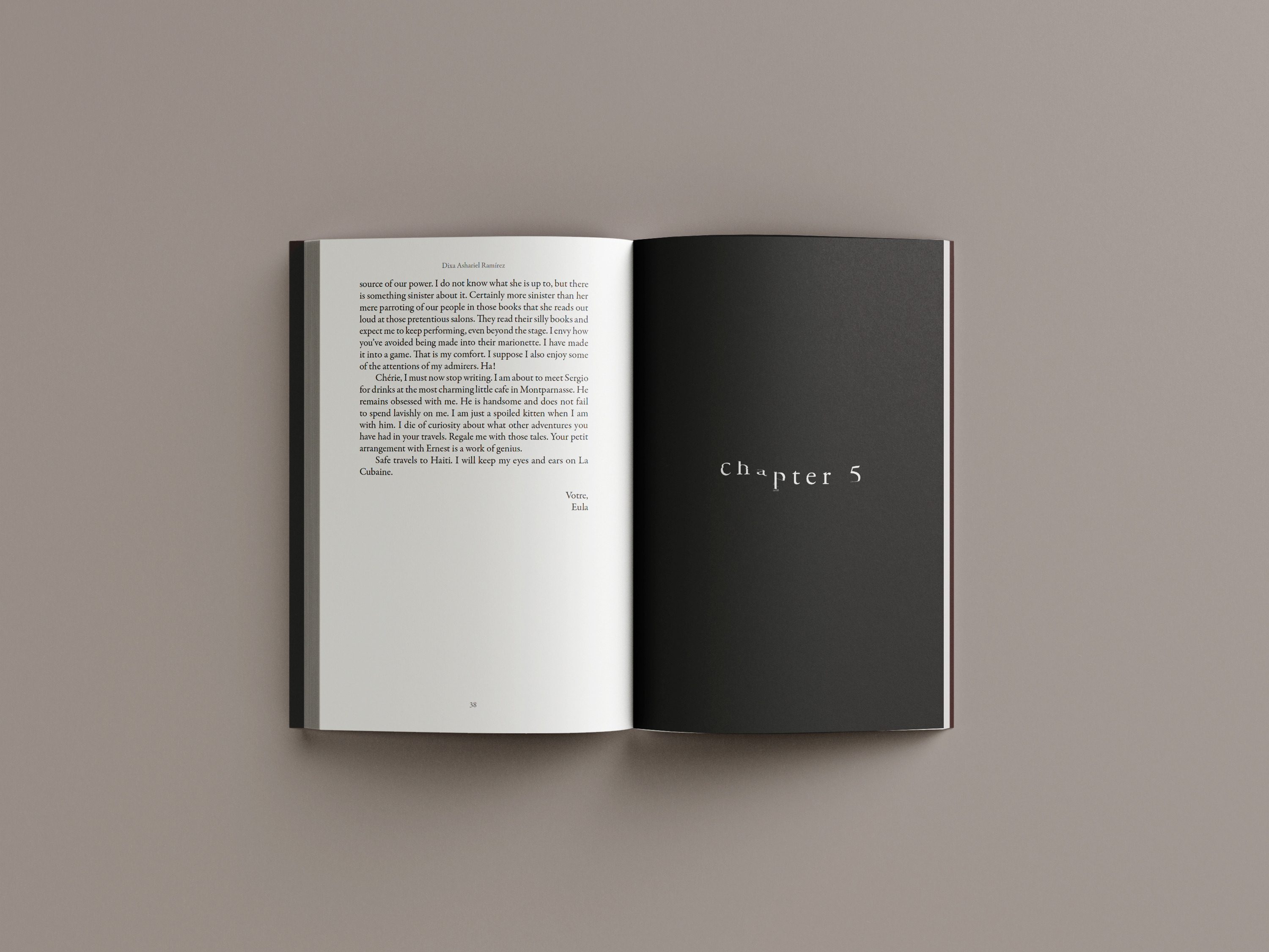 Back cover with dark textured portrait silhouette, pink line art, and synopsis